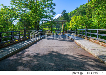 古峯神社　境内　参道　新緑の季節　鹿沼市　 103498983