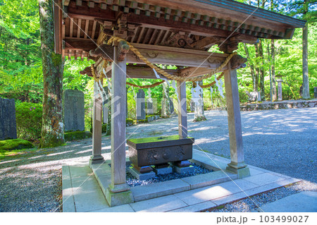 古峯神社　境内　手水舎　新緑の季節　鹿沼市　 103499027