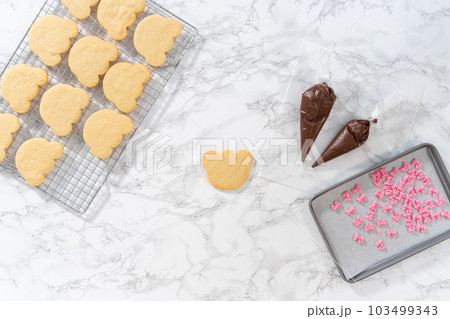Flat lay. Icing panda-shaped shortbread cookies with chocolate icing. Flat lay. Icing panda-shaped shortbread cookies with chocolate icing. 103499343