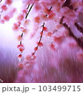 梅雨の季節に彩る桜の雨の中で 103499715
