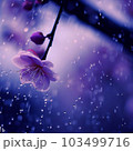 雨粒にきらめく梅雨の桜の絵画 103499716