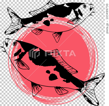 墨で描いた錦鯉のイラスト 103499730