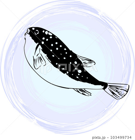墨で描いたフグのイラスト 103499734