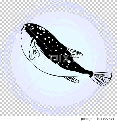 墨で描いたフグのイラスト 103499734