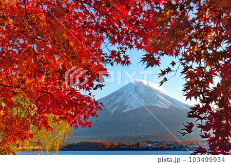 河口湖の紅葉と富士山＠もみじ祭り 103499934