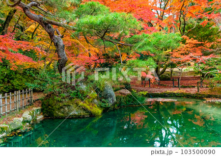 岐阜　紅葉の曽木公園 103500090