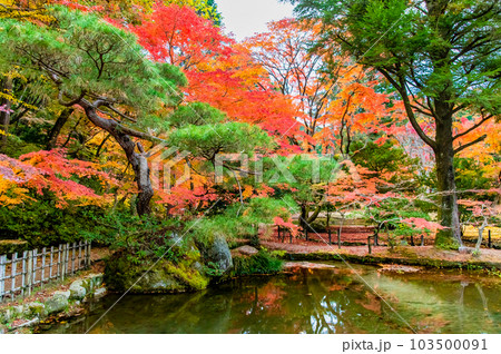 岐阜　紅葉の曽木公園 103500091