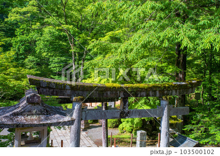 古峯神社 境内 新緑の季節 鹿沼市 古峯神社 境内 新緑の季節 鹿沼市 103500102