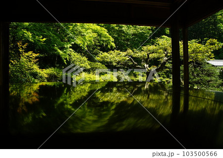 初夏の青岸寺の庭園 （滋賀県米原市, 2022年5月） 103500566