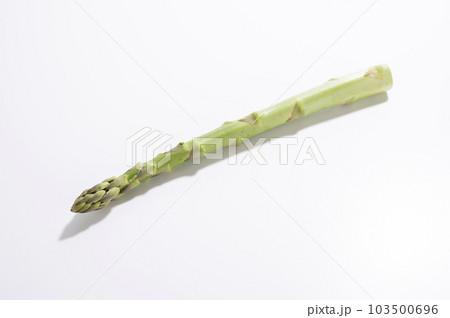 新鮮なグリーンアスパラガス 新鮮なグリーンアスパラガス 103500696