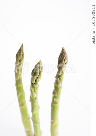 新鮮なグリーンアスパラガス 103500811