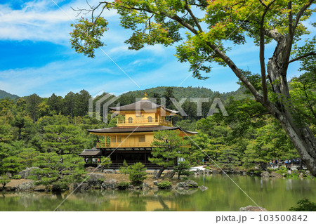 世界遺産　京都のお寺　金閣寺（鹿苑寺）の景観 103500842