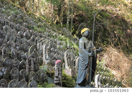 四国霊場第45番札所「岩屋寺」境内 103501063