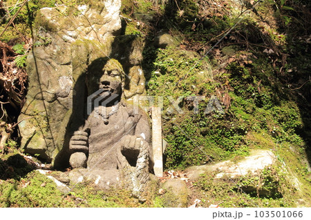 四国霊場第45番札所「岩屋寺」境内 103501066