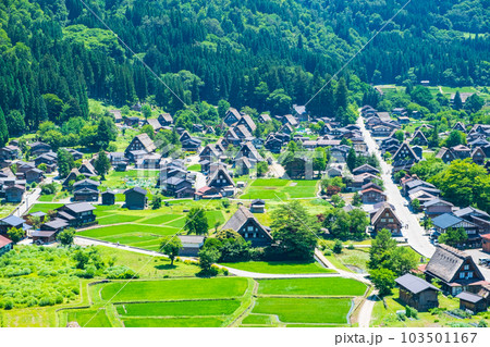 白川郷(夏) 白川郷(夏) 103501167