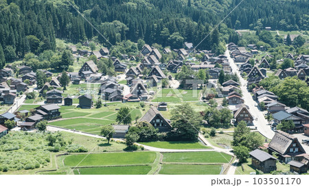 白川郷(夏) 白川郷(夏) 103501170