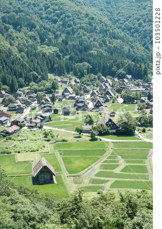 白川郷(夏) 白川郷(夏) 103501228