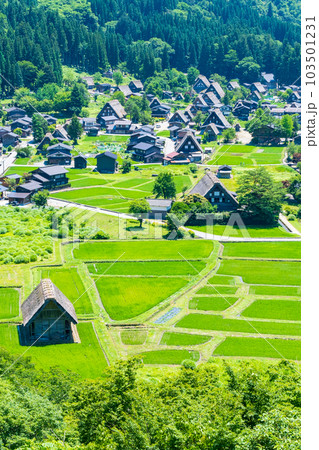 白川郷(夏) 白川郷(夏) 103501231