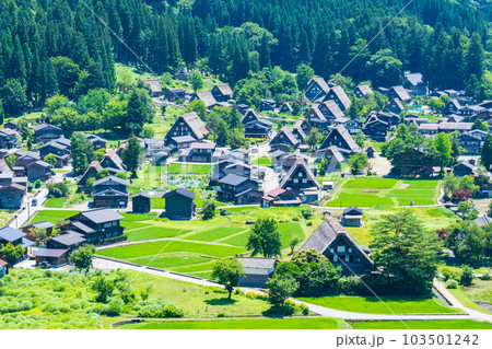 白川郷(夏) 白川郷(夏) 103501242