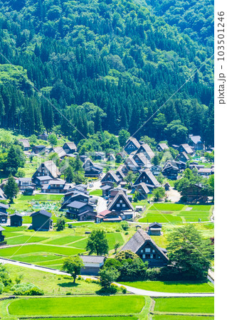 白川郷（夏） 103501246