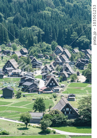 白川郷(夏) 白川郷(夏) 103501253