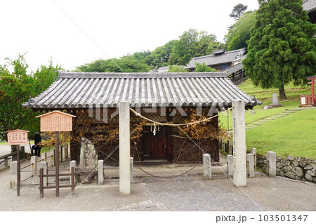東大寺 閼伽井屋 東大寺 閼伽井屋 103501347