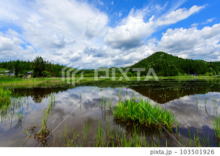 美しい里山風景 カキツバタ群生地 秋田県 美しい里山風景 カキツバタ群生地 秋田県 103501926