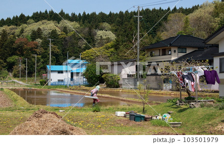 春風の田園風景ふるさと 春風の田園風景ふるさと 103501979
