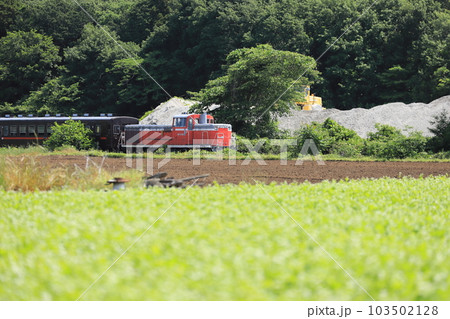 緑美しい畑と砕石の山を背景に走るディーゼル機関車 103502128