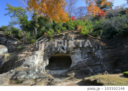 神奈川県鎌倉市二階堂　臨済宗円覚寺派錦屏山瑞泉寺　名勝瑞泉寺庭園と紅葉 103502146