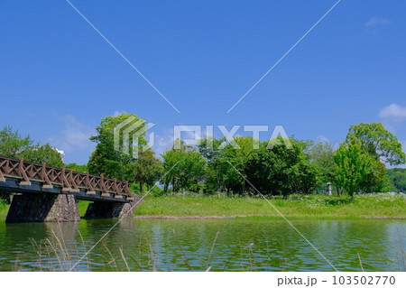 王子皿池親水公園 103502770