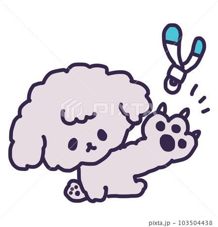 爪切りされる爪が伸びているかわいいトイプードルの子犬のイラスト 爪切りされる爪が伸びているかわいいトイプードルの子犬のイラスト 103504438