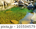 高い透明度を誇る銚子川支流、又口川の魚飛渓 103504579