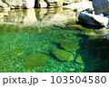 高い透明度を誇る銚子川支流、又口川の魚飛渓 103504580