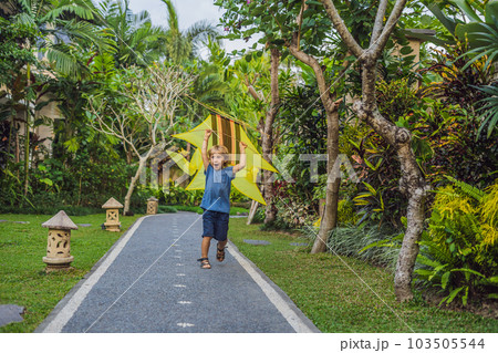 Boy launch a kite in the park in Ubud, Bali Island, Indonesia 103505544