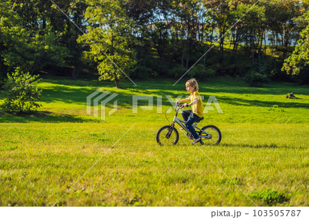 Happy kid boy of 5 years having fun in the park with a bicycle on beautiful day Happy kid boy of 5 years having fun in the park with a bicycle on beautiful day 103505787