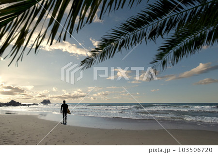 サーファーの楽園にいい波が来た、朝日に輝く太平洋ロングビーチ(椰子合成) サーファーの楽園にいい波が来た、朝日に輝く太平洋ロングビーチ(椰子合成) 103506720