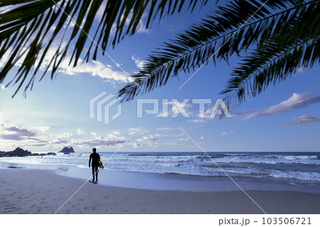 サーファーの楽園にいい波が来た、クールに輝く太平洋ロングビーチ サーファーの楽園にいい波が来た、クールに輝く太平洋ロングビーチ 103506721