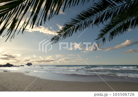 サーファーの楽園にいい波が来た、朝日に輝く太平洋ロングビーチ サーファーの楽園にいい波が来た、朝日に輝く太平洋ロングビーチ 103506726
