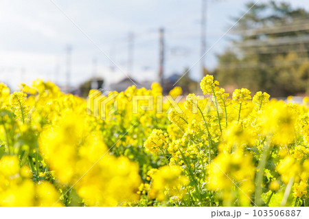 福ふくの里 福ふくの里 103506887