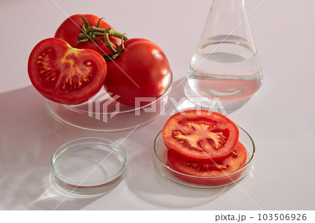 Fresh tomato and tomato sliced on petri dish displayed on white background with laboratory equipment. Empty cylindrical platform for cosmetics of tomato extract. Fresh tomato and tomato sliced on petri dish displayed on white background with laboratory equipment. Empty cylindrical platform for cosmetics of tomato extract. 103506926