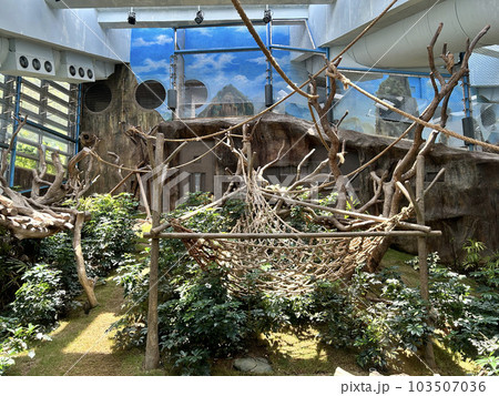 Ocean Park Hong Kong is a marine mammal park, oceanarium, animal theme park and amusement park situated in Wong Chuk Hang and Nam Long Shan in the Southern District of Hong Kong. Ocean Park Hong Kong is a marine mammal park, oceanarium, animal theme park and amusement park situated in Wong Chuk Hang and Nam Long Shan in the Southern District of Hong Kong. 103507036