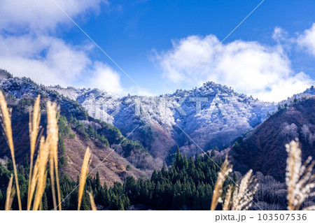 初冠雪の山々と里の薄~零下の朝~ 初冠雪の山々と里の薄~零下の朝~ 103507536