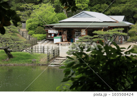 新緑の栗林公園(4月下旬) 新緑の栗林公園(4月下旬) 103508424