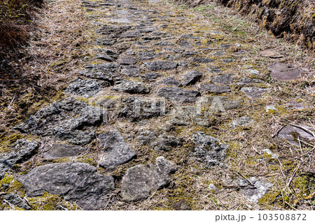 豊後街道 二重峠石畳 103508872