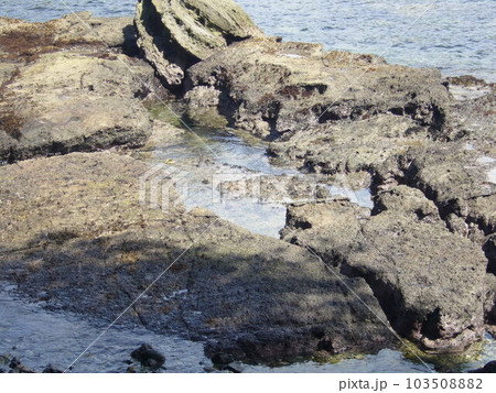 伊豆下田 103508882