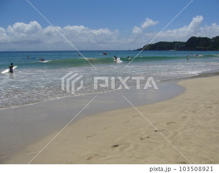 伊豆下田 103508921