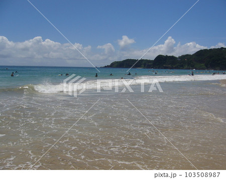 伊豆下田 103508987