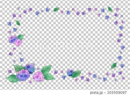 繡球花框架 103509097