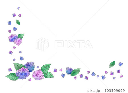 紫陽花のフレーム 103509099